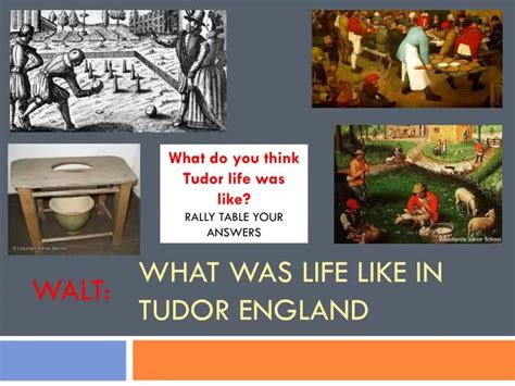 tudor life expectancy.